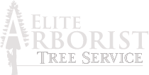 Elite Arborist LLC